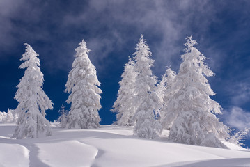 Winter