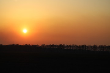 Fototapeta na wymiar sun at sunset, summer landscape, use as background