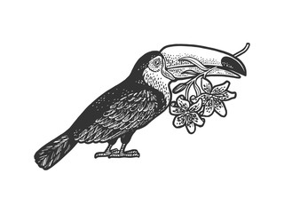 toucan and lilies sketch engraving vector illustration. T-shirt apparel print design. Scratch board style imitation. Hand drawn image.
