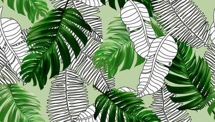 Floral seamless pattern, green, black and white splintered philodendron leaf with vines and monstera leaves on a white background, pastel vintage themes. Vector © andrei