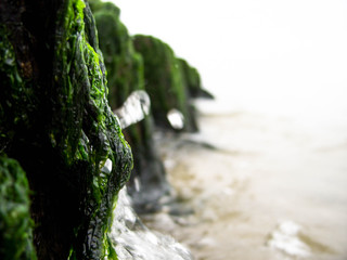 Breakwaters in the sea