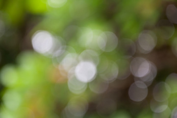 Fototapeta premium abstract background with bokeh