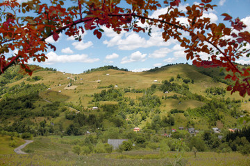 Spring on Transylvanian lands, Romania