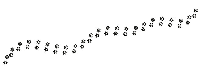 Track of cat dog tracks, footprint, design
