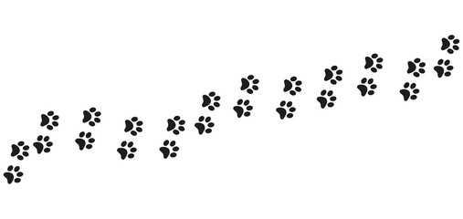 Track of cat dog tracks, footprint, design