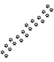 Track of cat dog tracks, footprint, design