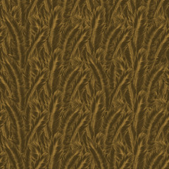bird feather background material model