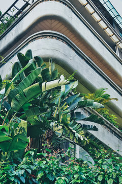 台湾の古いアパートメント　Processed with VSCO with fp8 preset