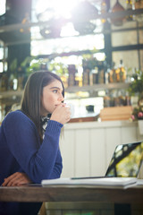 Attractive caucasian in sweater sitting in cafe, holding coffee and looking away. On table is laptop.