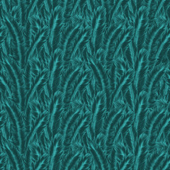 bird, surface, texture, feather, pattern, textured, backgrounds