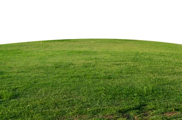 Cercles muraux Prairie, marais Green grass field isolated on white background with clipping path,Green grass meadow field from outdoor park isolated in white background