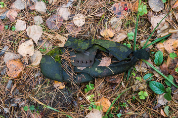 The sole of an old decayed army boot is lined with nails. Abandoned in the old days in the woods.
