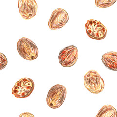 Seamless pattern with nutmeg on a white background. Drawing with colored pencils.