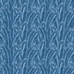 bird, surface, texture, feather, pattern, textured, backgrounds