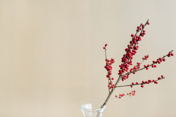 Red berries branch in glass vase in front of tan neutral beige wall background.