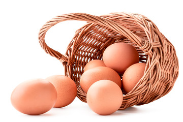 Chicken eggs spilled out of the basket in close-up on a white. Isolated