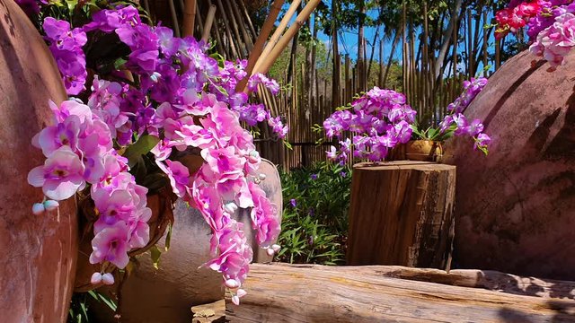 Puple flower in spring time.