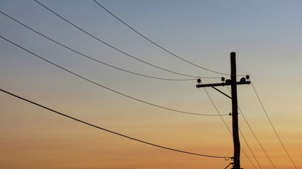 fios de poste de energia no por do sol