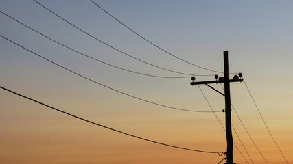 fios de poste de energia no por do sol - obrazy, fototapety, plakaty