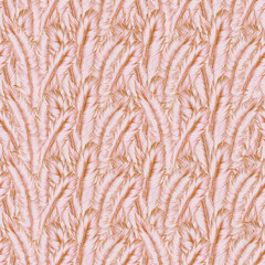 bird, surface, texture, feather, pattern, textured, backgrounds
