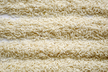 background of grain rice