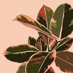 Feuilles de ficus tropical dans un style tendance minimaliste. Silhouette d& 39 une plante dans un style abstrait simple et contemporain. Collage d& 39 illustration vectorielle. Pour l& 39 impression de t-shirt, carte, affiche, publication sur les réseaux