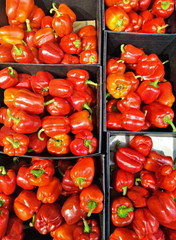 red pepper in a box on shelves in a supermarket