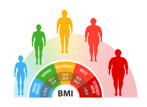33 bmi BMI Calculator