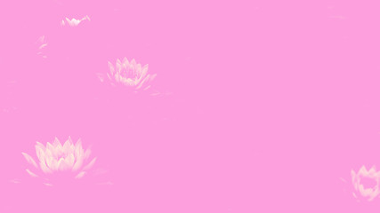 Fototapeta na wymiar Abstract pink background with lotus flowers.