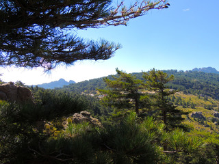 Aiguilles de bavella