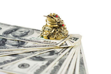 Money and the Eastern toad a sign of wealth on a white background