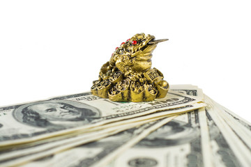 Money and the Eastern toad a sign of wealth on a white background