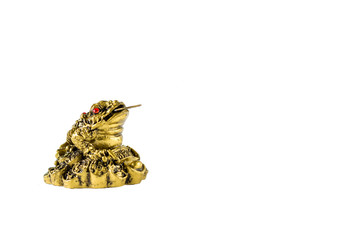 the statue of the Eastern toad by Feng Shui is a sign of wealth and prosperity