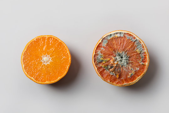 Ugly mold orange on grey. Top view. Improper storage of food.