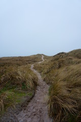 Sanddünen bei Sturm 