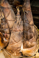 Closeup of the health food young and organic bamboo shoots or bamboo sprouts AKA tambo which are rich in proteins, carbohydrates, vitamins, fibres, and minerals.