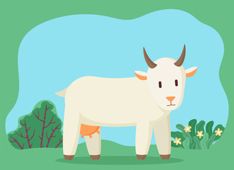 Goat with horns and udder pasturing on green grass in countryside. Cattle cartoon character standing near bush and flowers plants outdoor. Wildlife animal walking on meadow in summer season vector