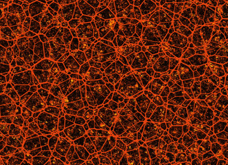 surreal abstract backgrounds from hot tangled web