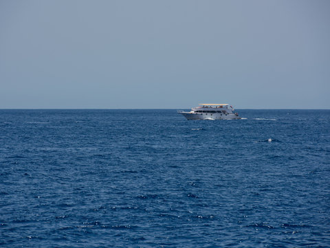 Speed boat in tropical sea.