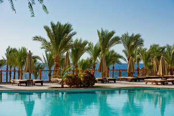 Obraz na płótnie Canvas Public beach with palm trees, umbrellas and sunbeds.