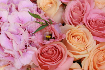  background, delicate flowers, hydrangea roses beauty wedding tenderness love good bouquet plants herbs