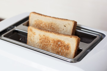 Slices of toasted bread in a white toaster.