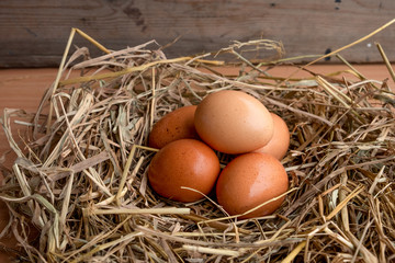 group of brown chicken eggs on straw bird nest 