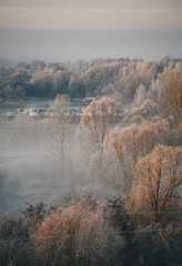 Obraz na płótnie Canvas Vertical winter landscape in the far distance and frost covered trees and shrubs. Foggy and misty.