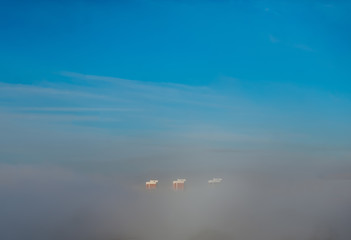 Fototapeta na wymiar Three skyscrapers hidden in thick fog.