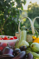 Fresh organic vegetables and fruits in a basket on a table in the garden. Healthy eating Eggplant, squash, cucumbers, tomatoes, zucchini. Vegetables on the salad.