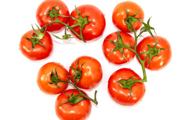 Ten fresh and juicy red tomatoes lie green branches up on a white background