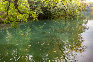 Reflections of trees lying low on the lake surface