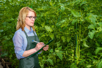 The girl is working in the greenhouse. Fresh cucumbers.