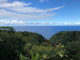 Obraz premium tropischer Meerblick